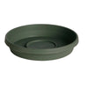 Bloem Terratray Thyme Green Resin Round Traditional Tray 2.5 H x 13 Dia. in. with Saucer - Deal of The Week