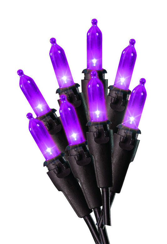 Celebrations Purple 50 ct LED String Lights