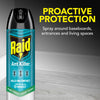 Raid Ant Killer Aerosol 17.5 oz