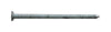 Pro-Fit 3 in. Box Hot-Dipped Galvanized Nail Flat Head 1 lb