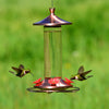Perky-Pet Hummingbird 12 oz. Copper/Glass Nectar Feeder 4 ports (Pack of 2)