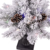 Celebrations 2 ft. Full LED 35 ct Snowy Color Changing Porch Bush
