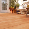 Thompson's WaterSeal Transparent Chestnut Brown Waterproofing Wood Stain and Sealer 5 gal