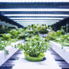 Feit Electric Clamp LED Grow Kit 8 in.