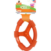 Nylabone Flexi Chew Oval Ring Chew Toy