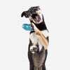 Bark Blue Plush Treat Giver River Dog Toy 1 pk (Pack of 3)