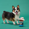 Bark Multicolored Plush Live Bait Bites Dog Toy 1 pk (Pack of 3)
