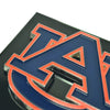 University of Florida Black Metal Hitch Cover - 3D Color Emblem
