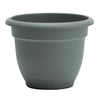 Bloem Ariana 5.25 in. H X 6.5 in. W X 6 in. D Plastic Traditional Planter Living Green