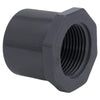 Charlotte Pipe Schedule 80 1-1/4 in. Spigot X 1 in. D FPT PVC Reducing Bushing 1 pk