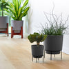 Bloem Hopson 5 in. H X 6 in. D Plastic Planter Charcoal Gray
