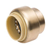 BK Products Proline Push to Connect 1/2 in. PTC Brass Cap