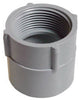 Cantex 1-1/4 in. D PVC Female Adapter 1 pk