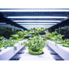 Feit Grow Fixtures Hydroponic Grow Light 30 W