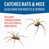 JT Eaton Glue Board For Insects and Mice (Pack of 24)