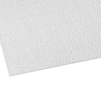 Palram Palclad Pro 96 in. H X 48 in. W Embossed White Wall Panel