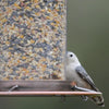 Perky-Pet Wild Bird 4.5 lb. Copper Panarama Bird Feeder - Open Box