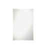 Erias 36 in. H x 30 in. W Wall Mirror (Case of 5)