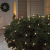 Celebrations Clear/Warm White Mini Style Incandescent Christmas Net Light Set 24 L sq. ft. - Open Box