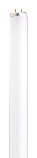 Bombilla fluorescente Satco 20 W T12 1,5 pulg. DX 23,78 pulg. L, luz blanca fría lineal 4100 K, paquete de 1 (paquete de 30)