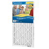 AAF Flanders NaturalAire 14 in. W x 20 in. H x 1 in. D Polyester Synthetic Pleated Air Filter (Pack of 12)