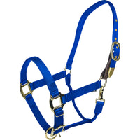 Gatsby Gold Adjustable Safety Breakaway Halter