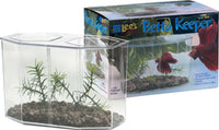 Betta Keeper Kit