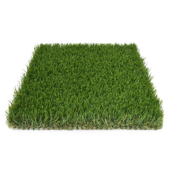 SeeGreen 5 ft. W X 7 ft. L Green Polyethylene Astroturf