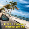 California Scents Fruity Scent Car Air Freshener 1.4 oz Solid (Pack of 12)