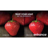 Feit A19 E26 (Medium) LED Bulb Daylight 60 Watt Equivalence 10 pk