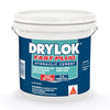 Drylok Fast Plug Hydraulic & Anchoring Cement 10 lb Gray (Pack of 2)