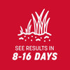 Pennington Seed The Rebels Tall Fescue Grass Seed 40 lb.