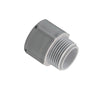Cantex 1/2 in. D PVC Male Adapter For PVC 1 pk - Deal of The Week