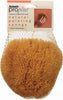 Armaly ProPlus Brown Natural Sponge Painting Sponge (Pack of 6).