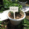 Panacea 6 in. H X 2.25 inch ft. W White Plastic Plant Label (Pack of 12).
