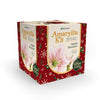Degroot Gift Box Bulb Kit (Pack of 12)