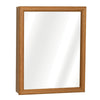 Zenna Home 19.25 in. H X 15.5 in. W X 4.5 in. D Rectangle Medicine Cabinet/Mirror - Open Box