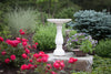 Bloem Llc 270-10 17" D X 17" W X 25" H White Bird Bath Promo (Pack of 6)