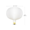 Globe Electric Decorative E26 (Medium) LED Bulb Cool White 7 Watt Equivalence 1 pk