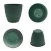 Bloem Dayton 7.5 in. H X 8 in. D Plastic Planter Turtle Green - Deal of The Week