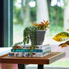 Bloem Llc Ap06908 6.5 Charcoal Ariana Self Watering Planter
