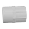 Charlotte Pipe Schedule 40 1 in. Slip x 1 in. Dia. FPT PVC Pipe Adapter (Pack of 25)