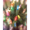 Celebrations Mini Incandescent Light Set Multicolored 62 ft. 300 lights Green - Open Box