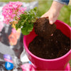 Pro-Mix Flower and Plant Potting Mix 36 lb