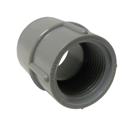 Cantex 1 in. D PVC Female Adapter For PVC 1 pk
