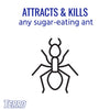 TERRO Ant Bait 4 pk (Pack of 6)