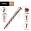 Deck Plus No. 10  x 3 in. L Star Flat Head Composite Deck Screws 1 lb.