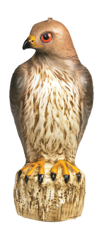 Bird-B-Gone Bird Deterrent Decoy 17 H in. for Red Tailed Hawks