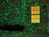 Gemmy LightShow LED Green Christmas Light Projector