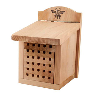 Casa de abejas albañiles, cedro, pequeña